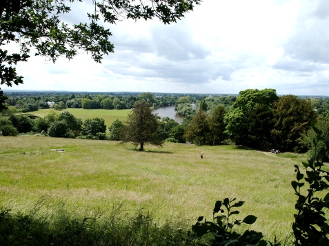 Image of the view from the top of Richmond Hill